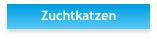Zuchtkatzen